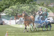 ref. photo 3236088