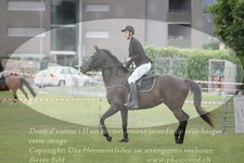 ref. photo 3236101