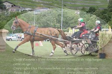 ref. photo 3236109