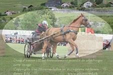 ref. photo 3236111