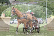 ref. photo 3236113