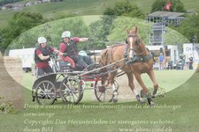 ref. photo 3236114