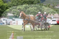 ref. photo 3236116