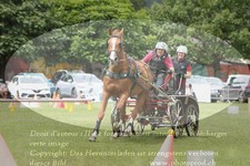 ref. photo 3236117