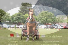 ref. photo 3236118