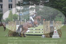 ref. photo 3236139