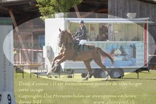 ref. photo 3236167