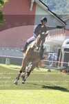 ref. photo 3236168
