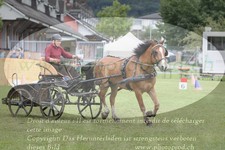 ref. photo 3236173