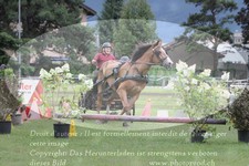 ref. photo 3236176