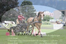 ref. photo 3236177
