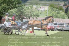 ref. photo 3236184