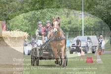 ref. photo 3236185