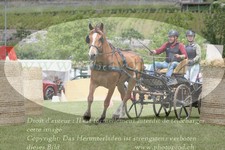 ref. photo 3236186