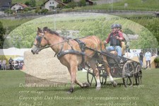 ref. photo 3236187