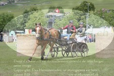 ref. photo 3236192