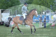 ref. photo 3236235