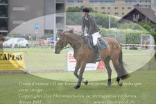 ref. photo 3236244