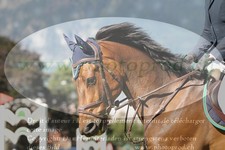 ref. photo 3236249