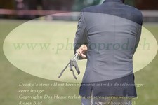 ref. photo 3236322