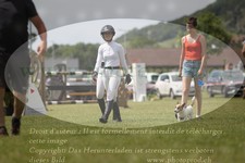 ref. photo 3236335