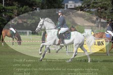 ref. photo 3236397