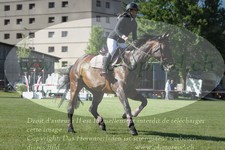 ref. photo 3236409