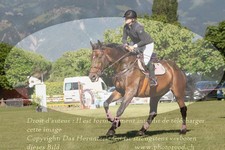 ref. photo 3236411