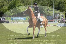 ref. photo 3236426