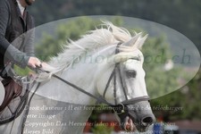 ref. photo 3236474