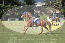 ref. photo 3236501