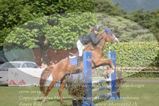 ref. photo 3236502