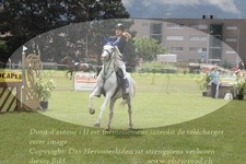 ref. photo 3236517