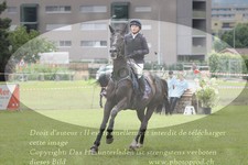 ref. photo 3236595