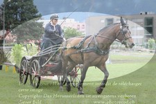 ref. photo 3236628