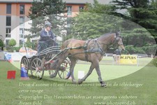 ref. photo 3236641