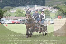 ref. photo 3236644