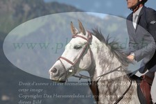 ref. photo 3236669