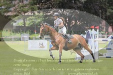 ref. photo 3236702