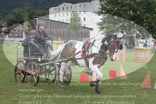 ref. photo 3236721