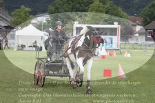 ref. photo 3236731