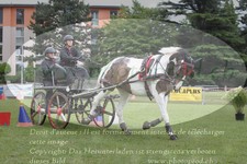 ref. photo 3236739