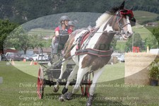 ref. photo 3236746
