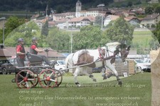 ref. photo 3236748