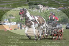 ref. photo 3236757