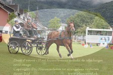 ref. photo 3236831