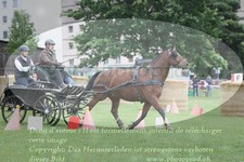 ref. photo 3236837