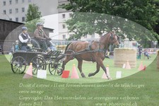 ref. photo 3236844