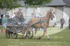 ref. photo 3236846