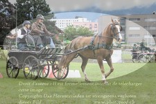 ref. photo 3236851
